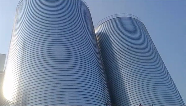 莲湖2座混凝土高架卷板仓